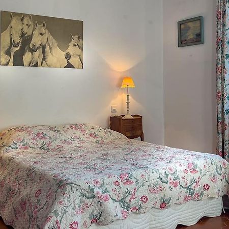 Mas De Charme En Pleine Camargue Vila Saint-Gilles  Exterior foto