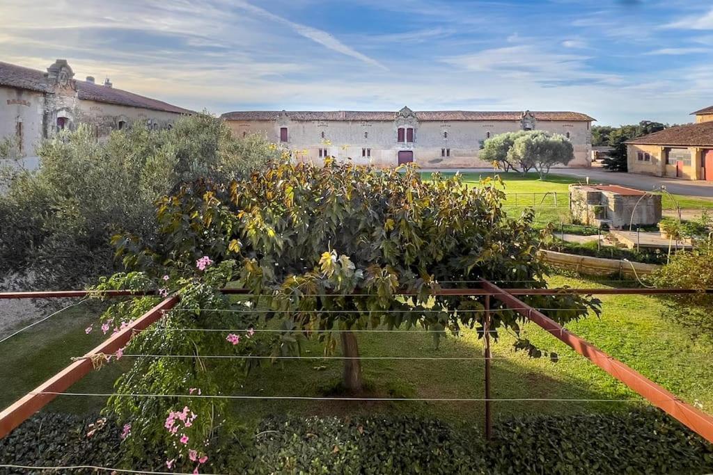 Mas De Charme En Pleine Camargue Vila Saint-Gilles  Exterior foto