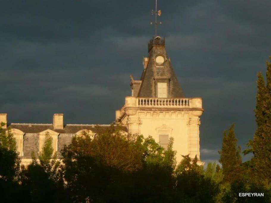 Mas De Charme En Pleine Camargue Vila Saint-Gilles  Exterior foto